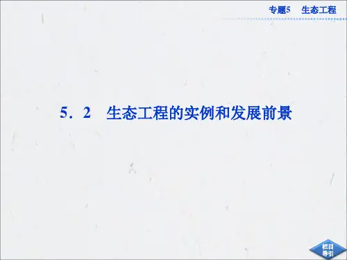 高中生物同步课件：5.2 生态工程的实例和发展前景(新人教版选修3)