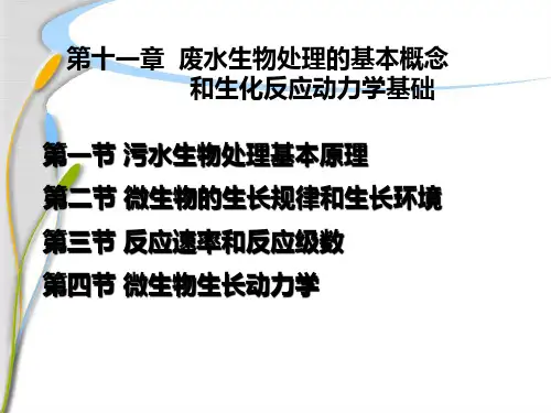 污水生物处理的基本概念生化反应动力学基础