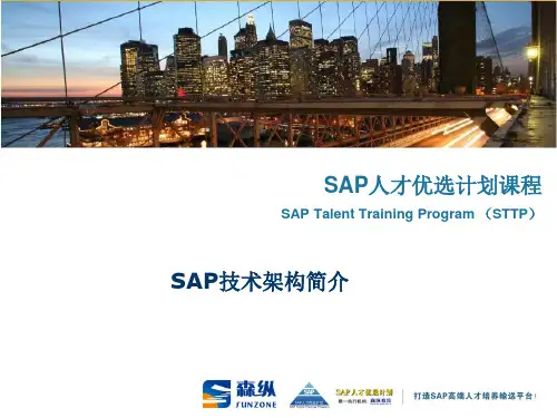 SAP基础架构简介完整版