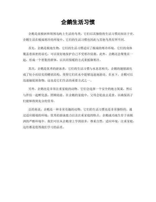 企鹅生活习惯