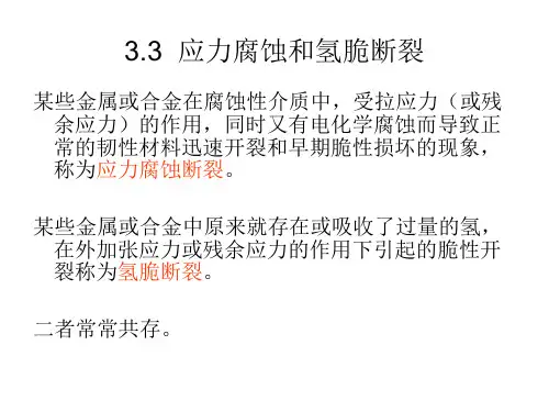 应力腐蚀