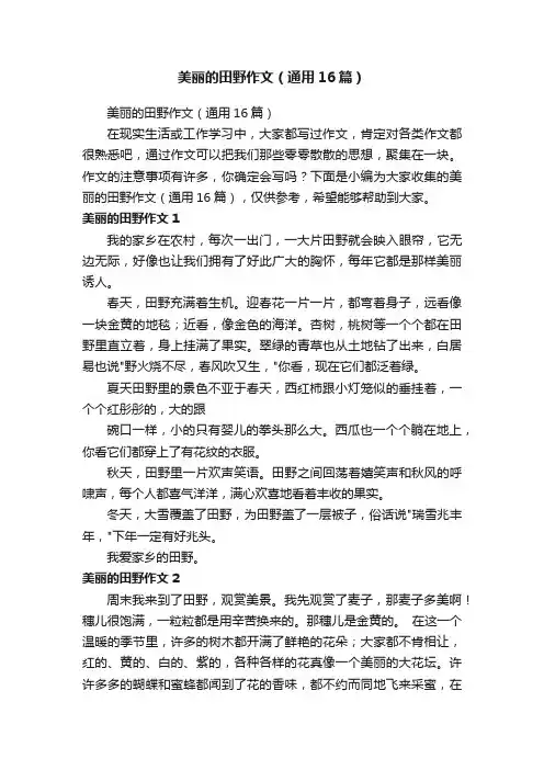 美丽的田野作文（通用16篇）