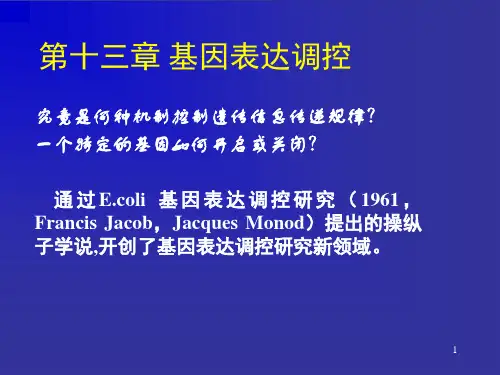 生物化学课件 第13章 基因表达调控