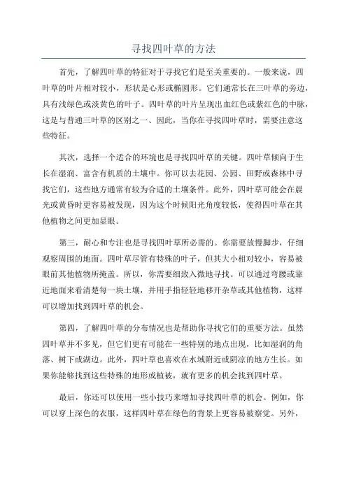 寻找四叶草的方法