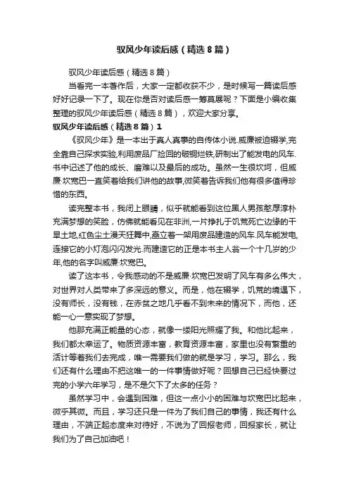 驭风少年读后感（精选8篇）