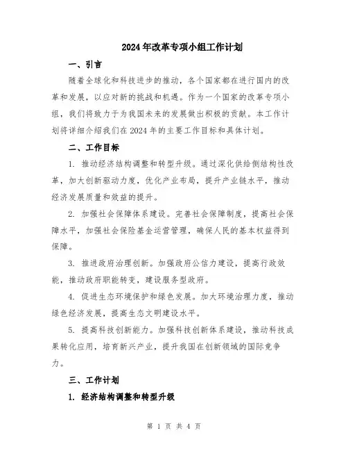 2024年改革专项小组工作计划