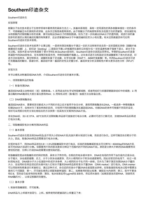 Southern印迹杂交