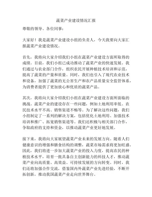 蔬菜产业建设情况汇报