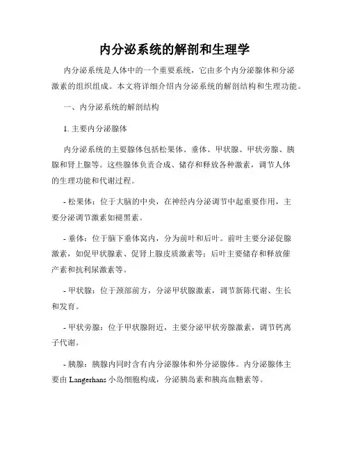 内分泌系统的解剖和生理学
