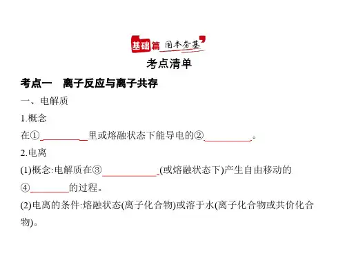 2021年山东高考化学复习课件：专题三 离子反应
