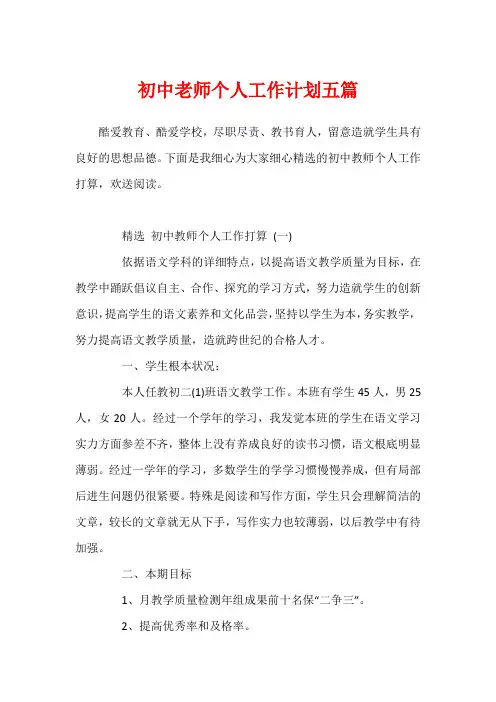 初中老师个人工作计划五篇