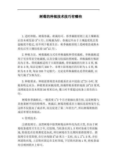 树莓的种植技术技巧有哪些