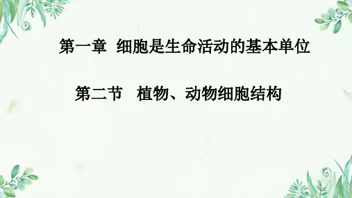 动植物细胞结构