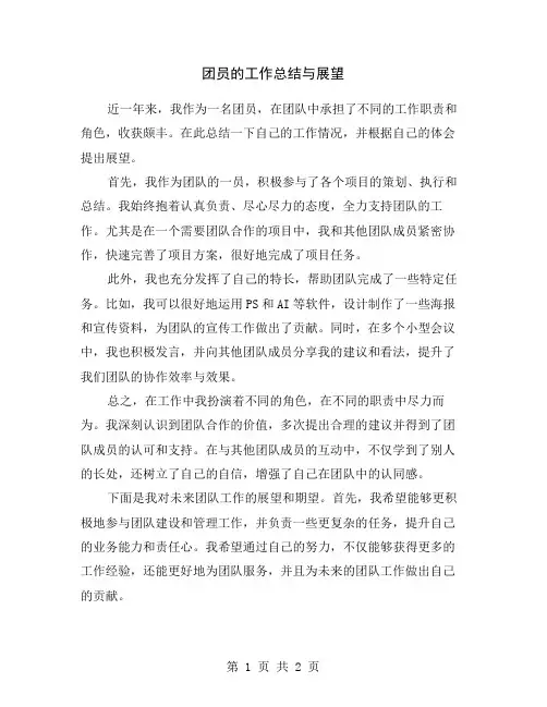 团员的工作总结与展望