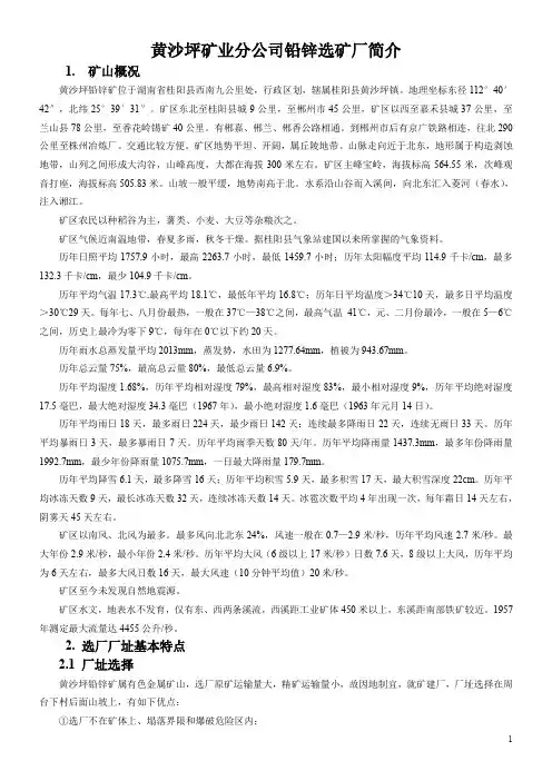 黄沙坪矿业分公司和选矿厂基本情况.(DOC)