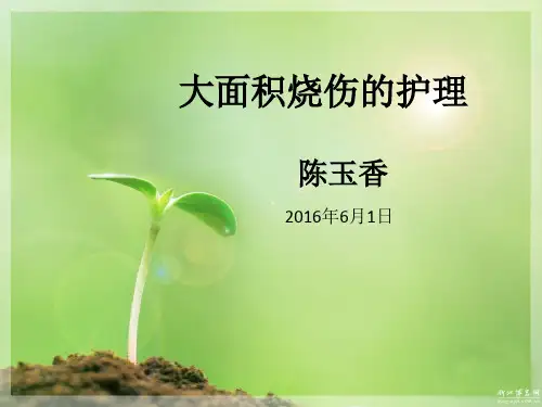 大面积烧伤的护理