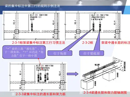 梁平法识图4：集中标注物理意义