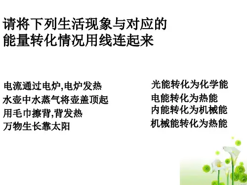 浙教版九年级上第3章第二节能量转化的量度(浙江省丽水地区)