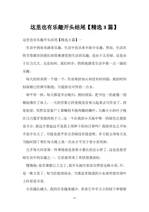 这里也有乐趣开头结尾【3篇】