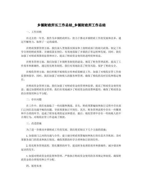 乡镇财政所长工作总结_乡镇财政所工作总结