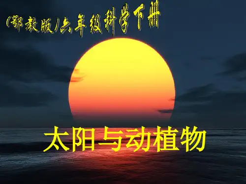 鄂教版小学科学六年级下册《太阳与动植物》PPT课件