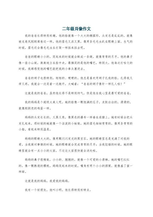 二年级肖像作文