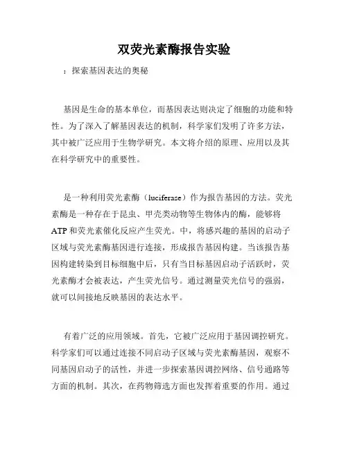 双荧光素酶报告实验