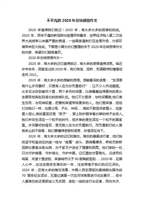 不平凡的2020年总结感悟作文