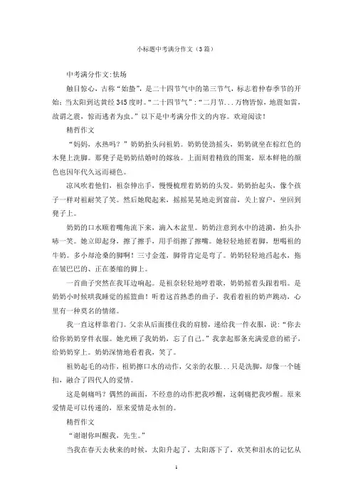 小标题中考满分作文(3篇)