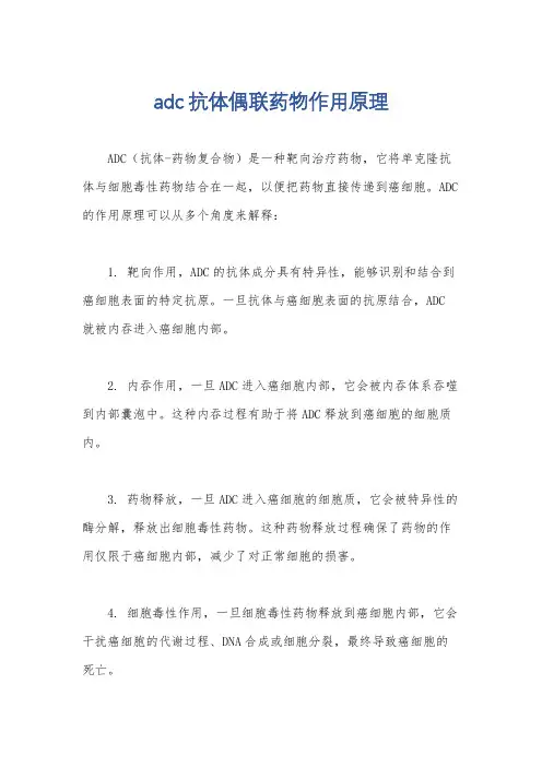 adc抗体偶联药物作用原理