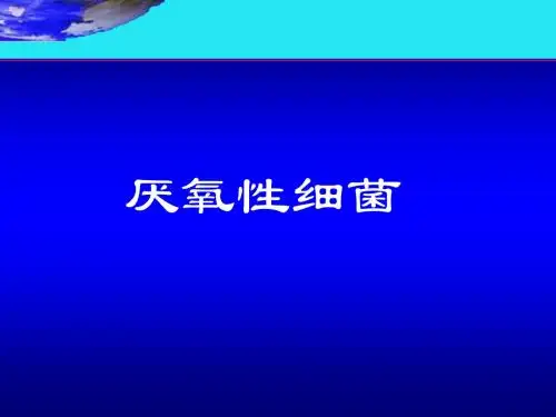 第十三章  厌氧性细菌