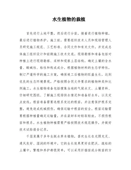水生植物的栽植