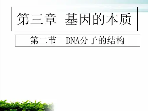 【新教材】人教版高中生物DNA分子的结构PPT优秀课件1