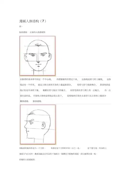 漫画人体结构