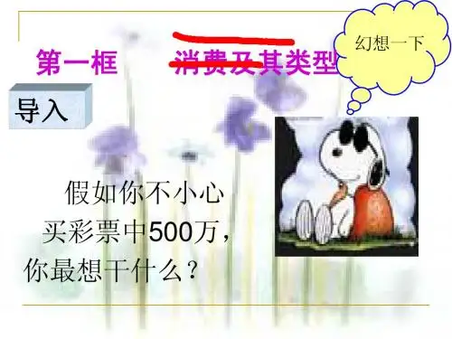 高一政治消费及其类型