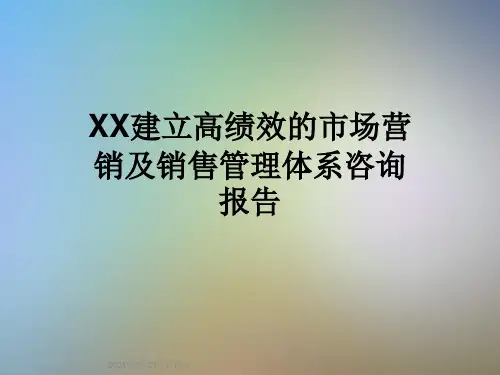 XX建立高绩效的市场营销及销售管理体系咨询报告
