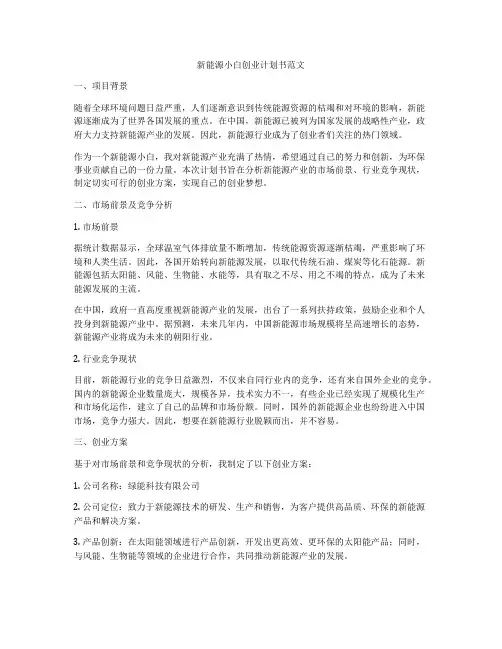 新能源小白创业计划书范文