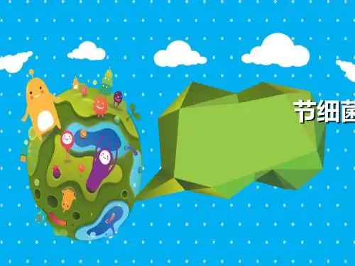 【人教版】初中生物八年级上册第五单元第四章第二节 细菌(共30张ppt)
