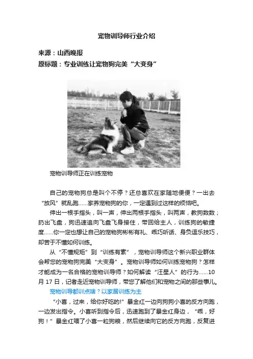 宠物训导师行业介绍