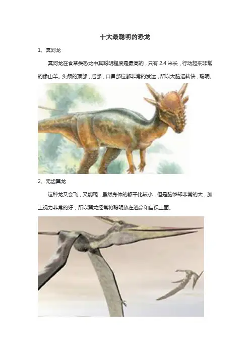 十大最聪明的恐龙