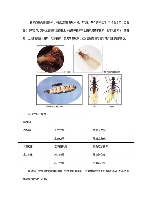 上海市白蚁防治中心告诉你白蚁的种类及如何防治