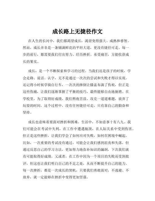 成长路上无捷径作文