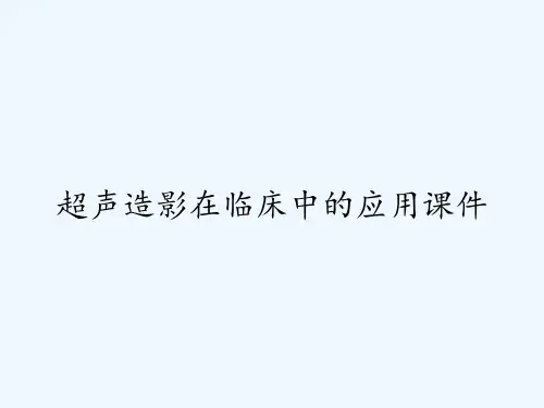 超声造影在临床中的应用课件-PPT