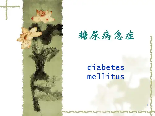 糖尿病急症PPT课件