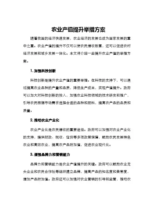 农业产值提升举措方案