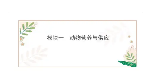 脂肪的营养与供给课件(共34张PPT)《畜禽营养与饲料》