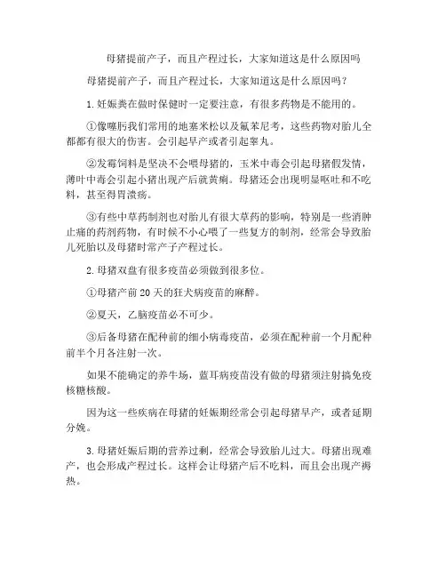 母猪提前产子,而且产程过长,大家知道这是什么原因吗