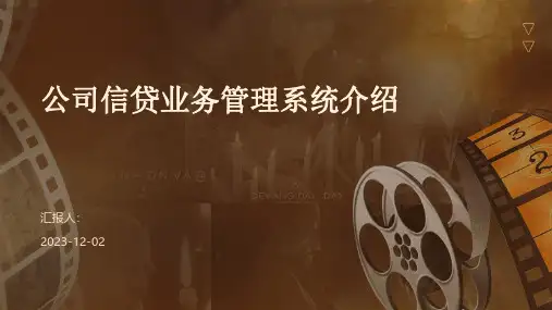 公司信贷业务管理系统介绍