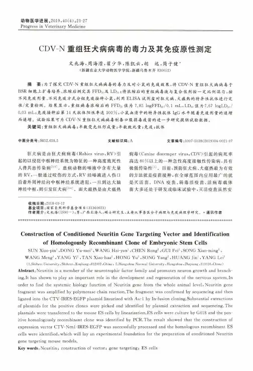 CDVN重组狂犬病病毒的毒力及其免疫原性测定