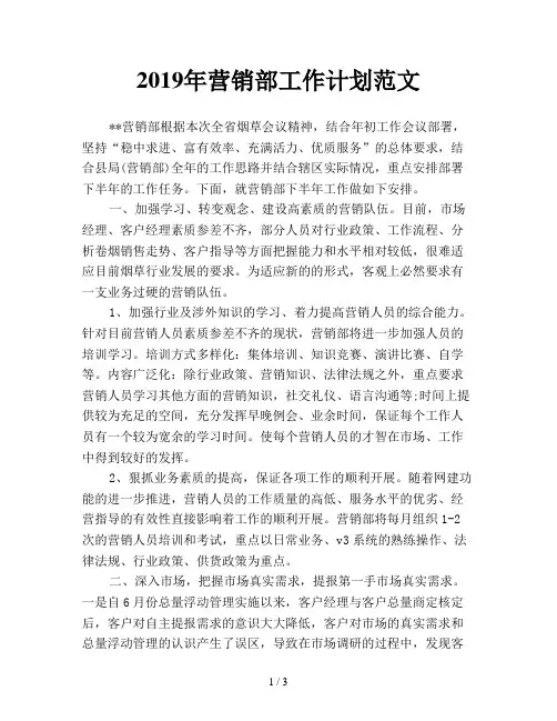 2019年营销部工作计划范文